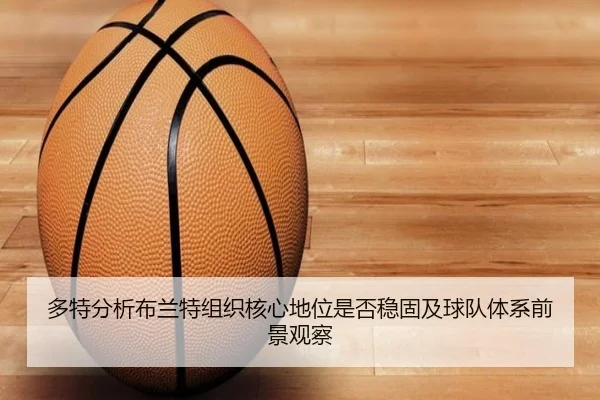多特分析布兰特组织核心地位是否稳固及球队体系前景观察